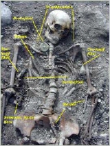 Skelett mit Trachtzubehör auf gotland